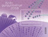 2018 Az év gyógynövénye - Valódi levendula - Medicinal plant of the year 2018: true lavender